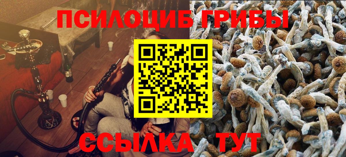 Псилоцибиновые грибы Psilocybine cubensis  сколько стоит  Трёхгорный  Галлюциногенные грибы MAGIC MUSHROOMS  Вход с VPN 